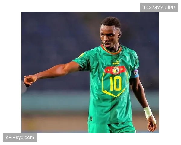 非洲U17足球黄金一代闪耀赛场，未来新星备受瞩目