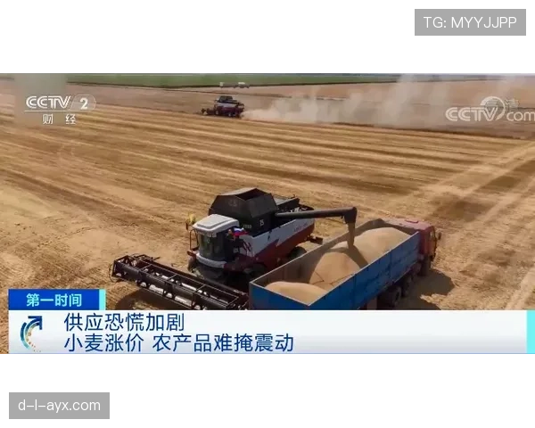 乌加特作为防线前屏障的防守价值解析